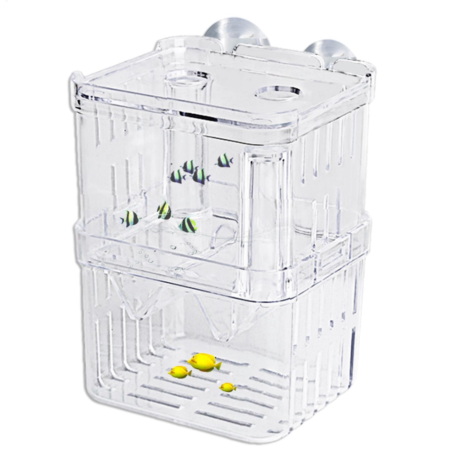 Breeder Box for Fish Tank Tran - Aquarium Fish In Bowl のレビューと価格