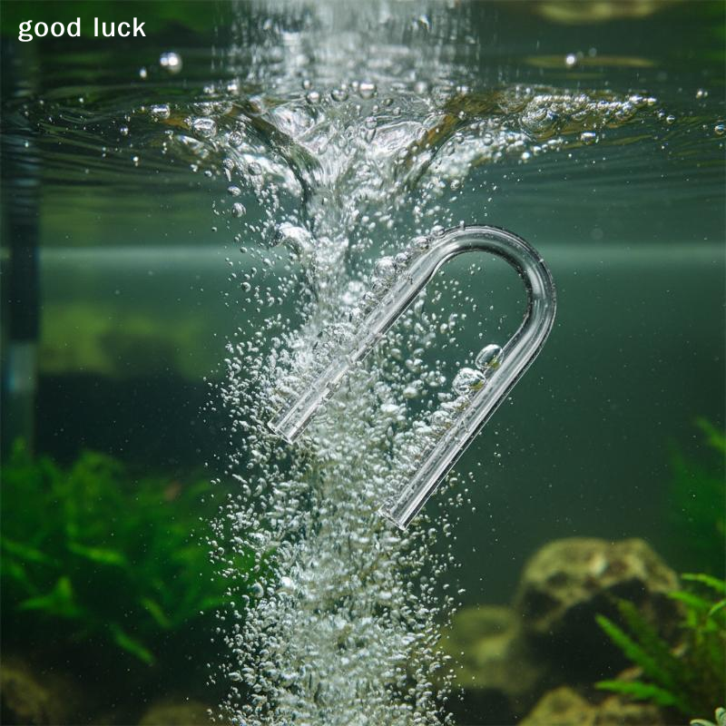 5Pcs U Shape Tube Acrylic Aqua - Aquarium Goldfish のレビューと価格