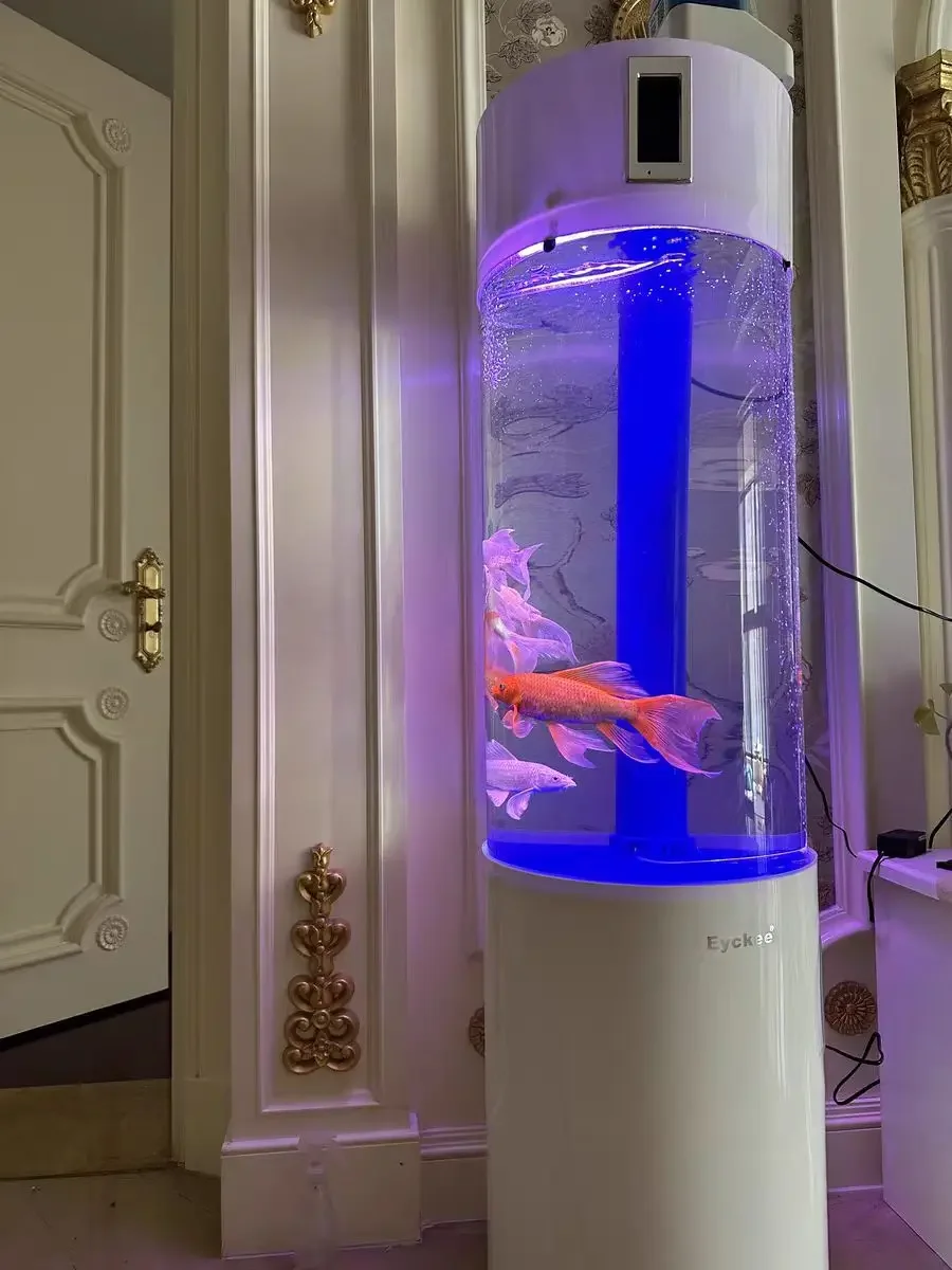 Floor Standing Cylinder Acryli - Aquarium Fish Elevator のレビューと価格
