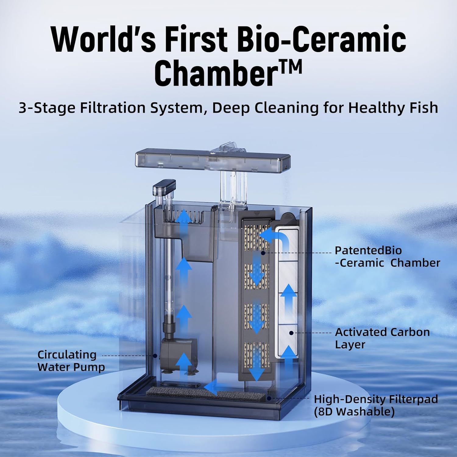 2 Gallon Betta Fish Tank with  - Fish Tank Filter Aquarium のレビューと価格
