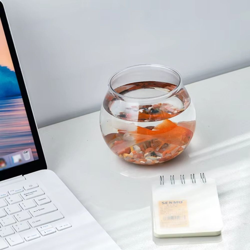 New Transparent Fish Tank Roun - Aquarium Fish In Bowl のレビューと価格