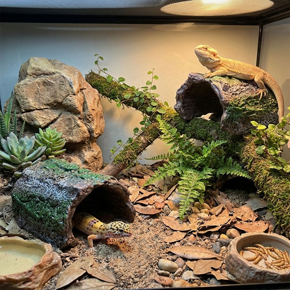 Simulation Reptile Hideout Hol - Aquarium Fish Hiding Places のレビューと価格