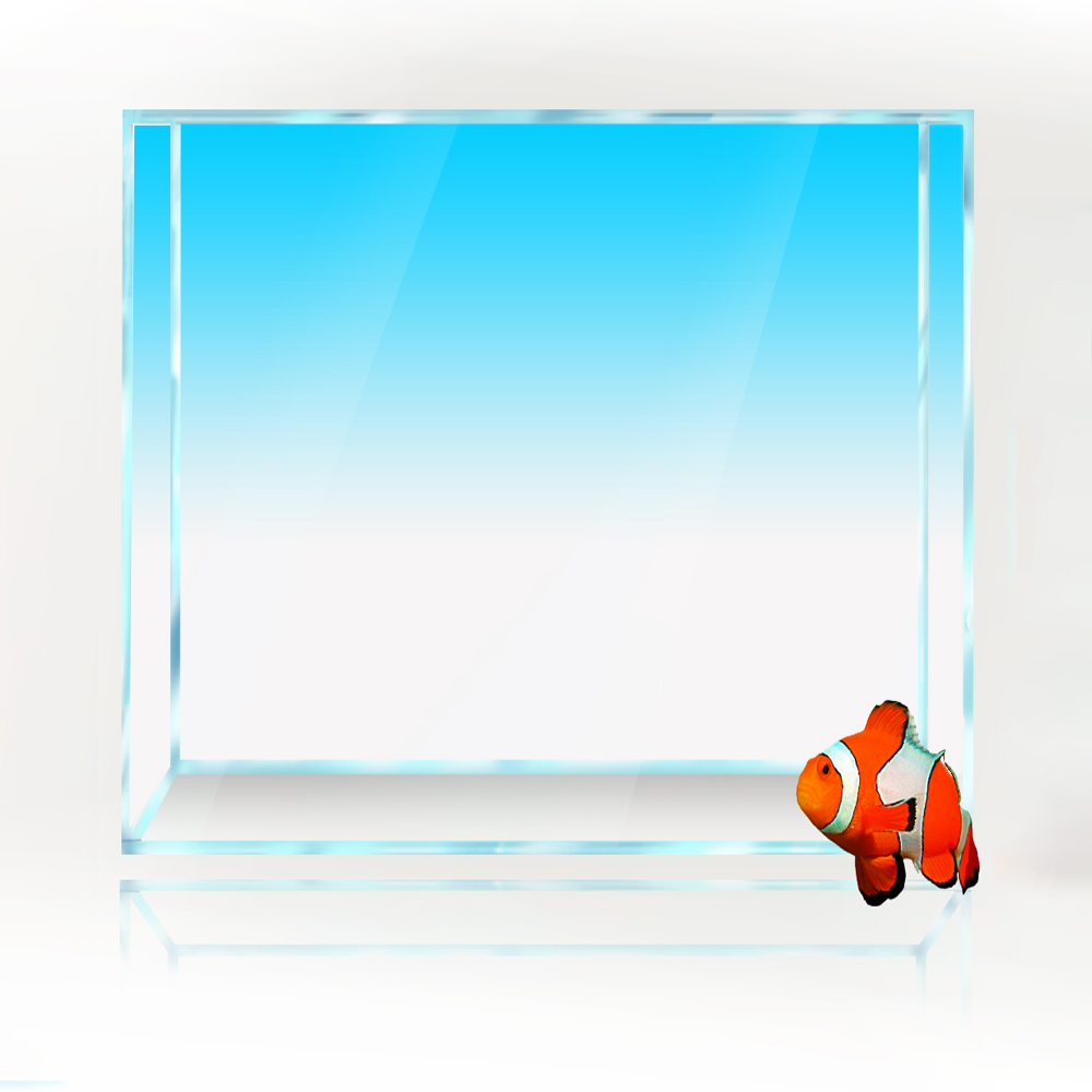 Square Fish Tank Background Wh - Aquarium Fish Yellow And Black のレビューと価格