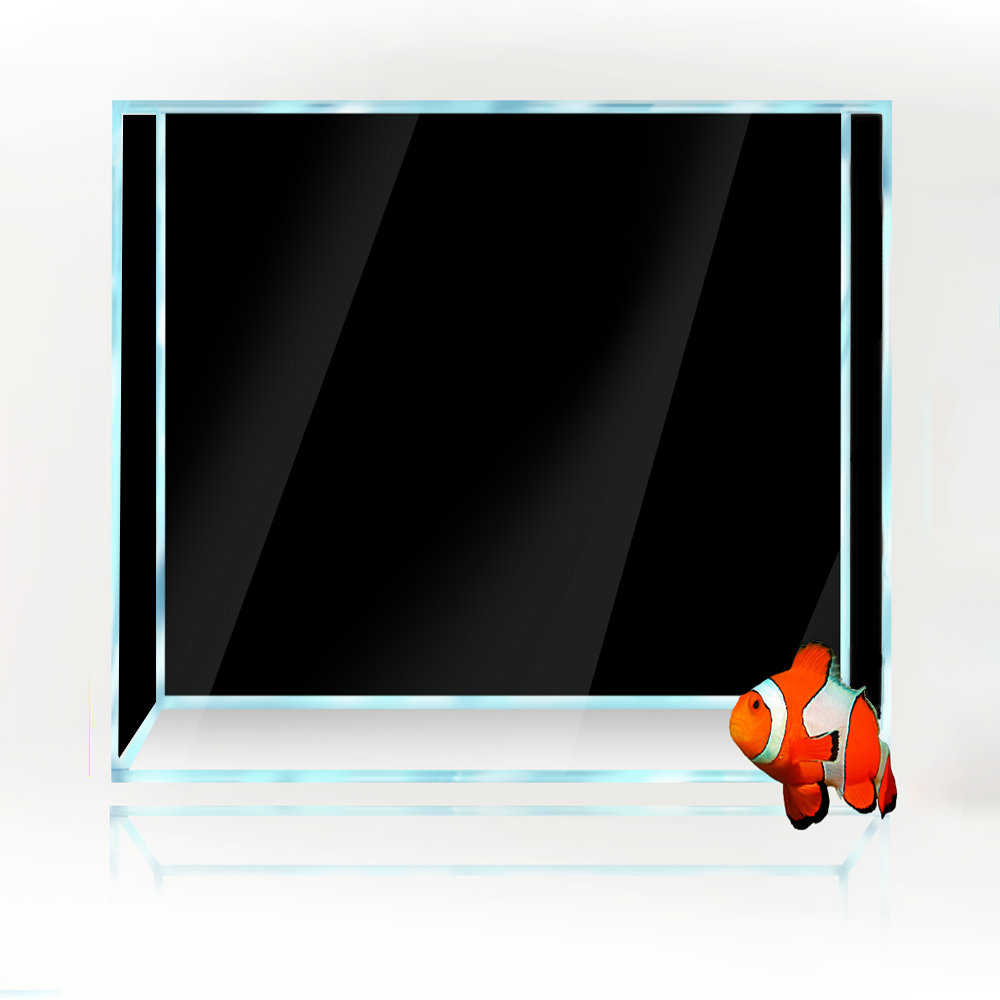 Square Fish Tank Background Wh - Aquarium Fish Yellow And Black のレビューと価格
