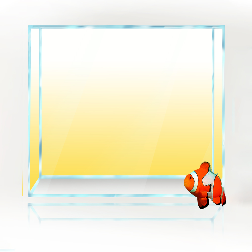 Square Fish Tank Background Wh - Aquarium Fish Yellow And Black のレビューと価格