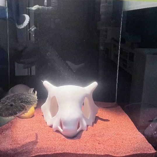 3D Printed FIsh Shrimp Reptile - Aquarium Fish Hiding Places のレビューと価格