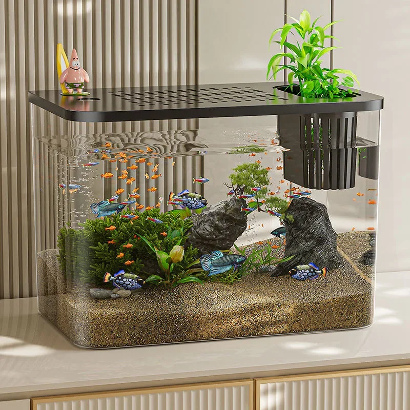PET+ABS Fish Tank New Transpar - Aquarium Goldfish のレビューと価格