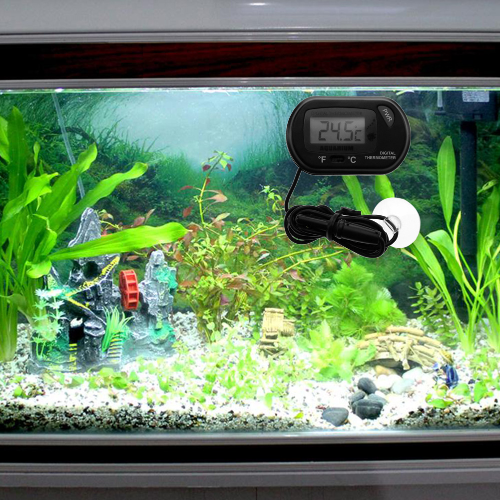 Fish Tank Thermometer Suction  - Aquarium Fish Yellow And Black のレビューと価格