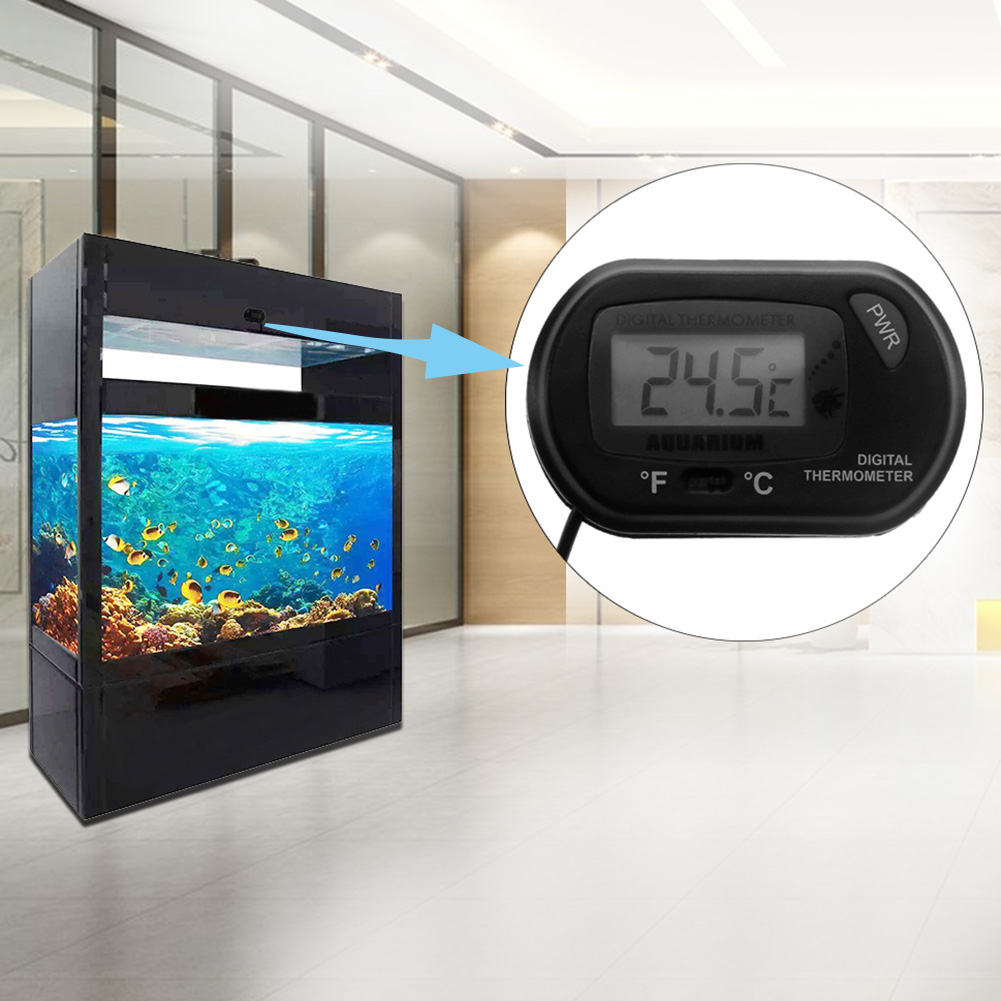 Fish Tank Thermometer Suction  - Aquarium Fish Yellow And Black のレビューと価格