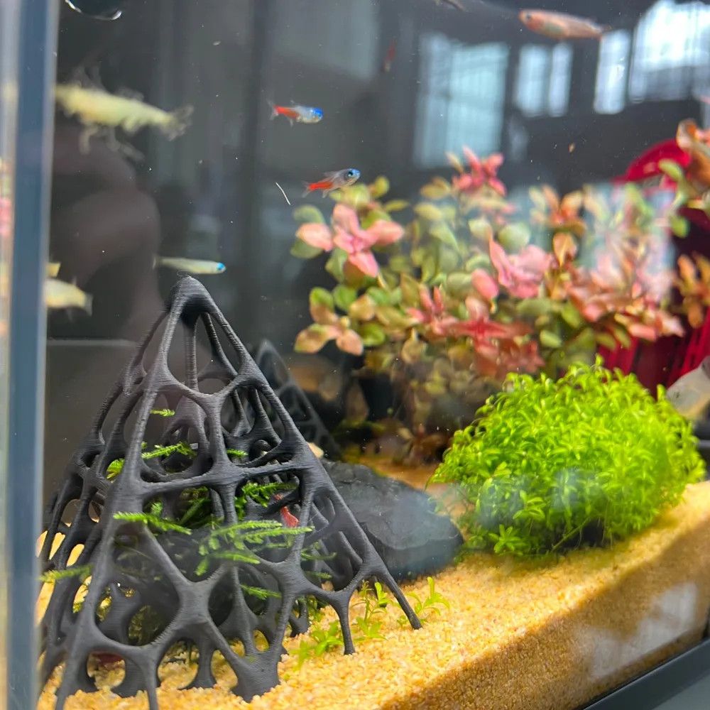 3D Printed Pyramid Fish & Shri - Aquarium Fish Games のレビューと価格