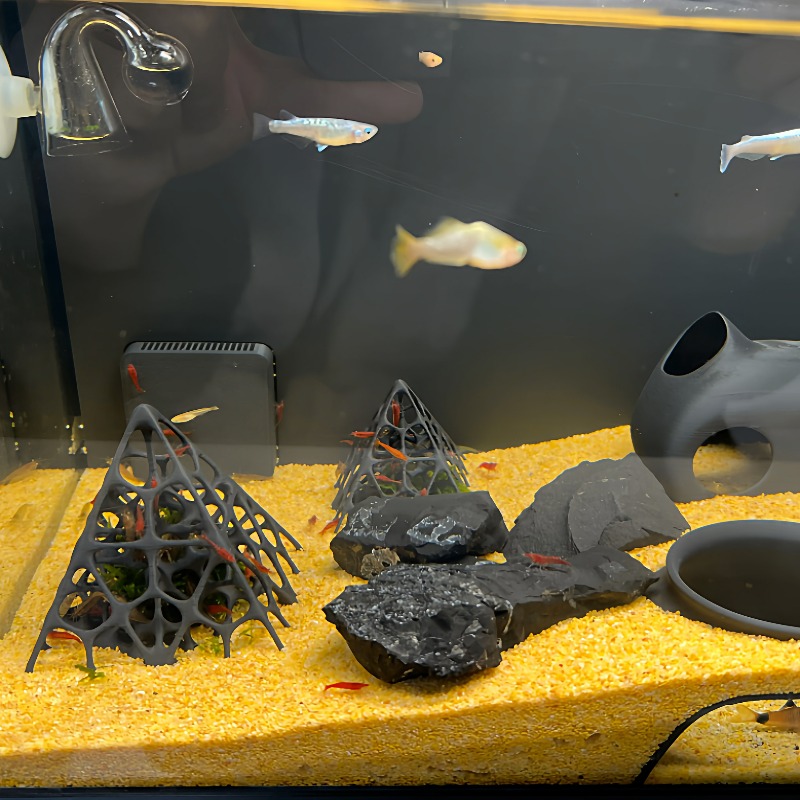 3D Printed Pyramid Fish & Shri - Aquarium Fish Games のレビューと価格