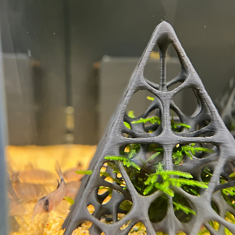 3D Printed Pyramid Fish & Shri - Aquarium Fish Games のレビューと価格